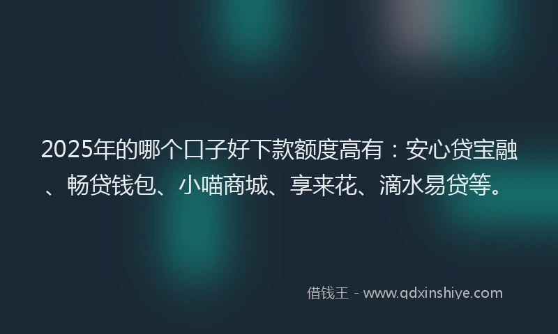 2025年的哪个口子好下款额度高有：安心贷宝融、畅贷钱包、小喵商城、享来花、滴水易贷等。