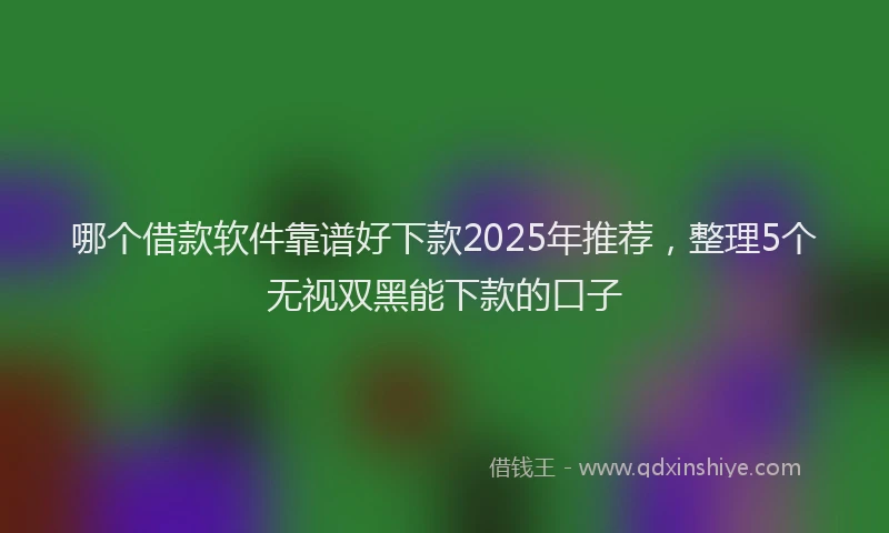 哪个借款软件靠谱好下款2025年推荐,整理5个无视双黑能下款的口子