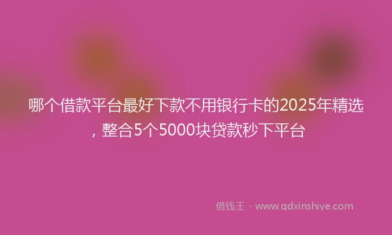 哪个借款平台最好下款不用银行卡的2025年精选，整合5个5000块贷款秒下平台
