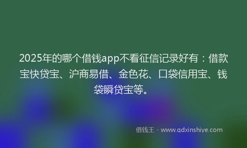 2025年的哪个借钱app不看征信记录好有：借款宝快贷宝、沪商易借、金色花、口袋信用宝、钱袋瞬贷宝等。