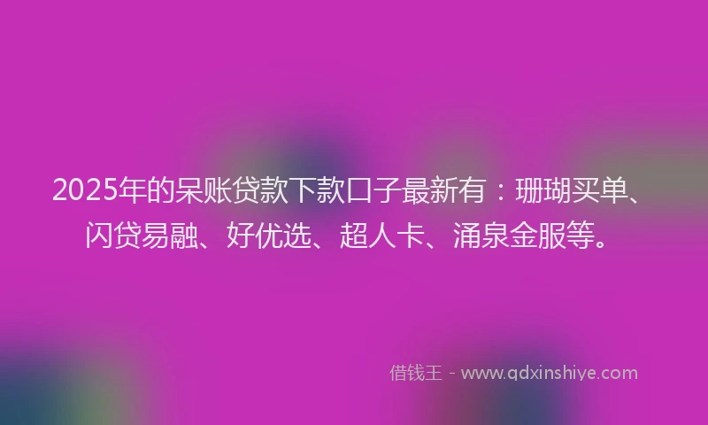 2025年的呆账贷款下款口子最新有：珊瑚买单、闪贷易融、好优选、超人卡、涌泉金服等。