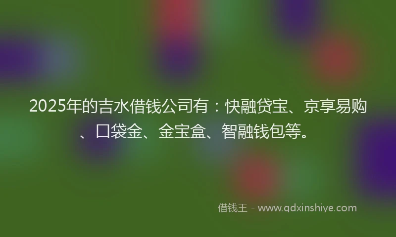 2025年的吉水借钱公司有：快融贷宝、京享易购、口袋金、金宝盒、智融钱包等。