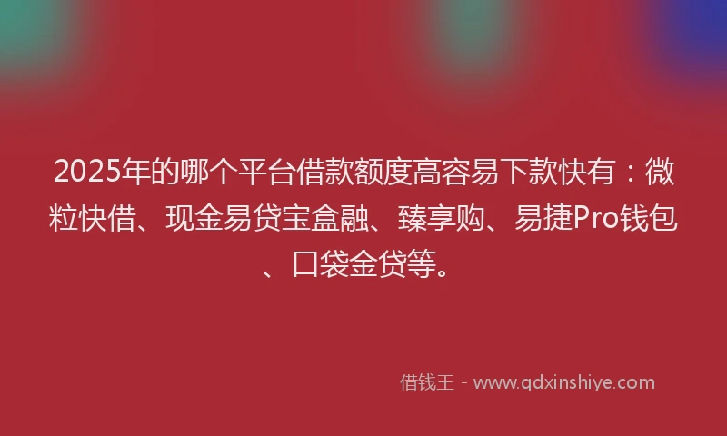 2025年的哪个平台借款额度高容易下款快有：微粒快借、现金易贷宝盒融、臻享购、易捷Pro钱包、口袋金贷等。