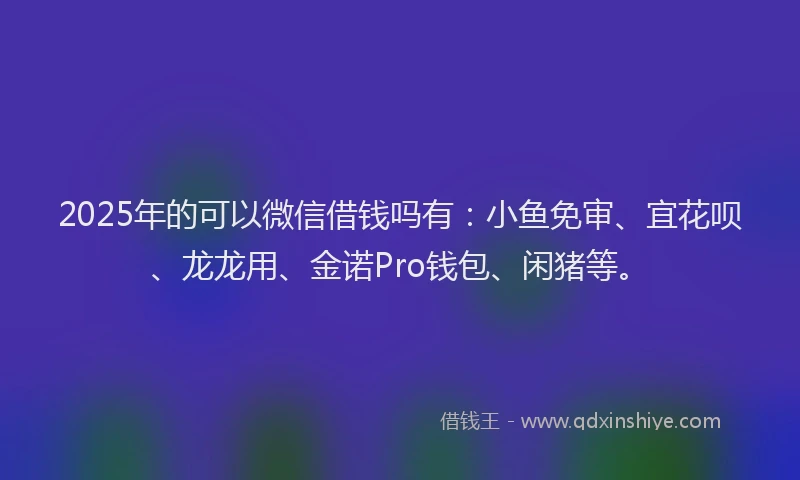 2025年的可以微信借钱吗有：小鱼免审、宜花呗、龙龙用、金诺Pro钱包、闲猪等。