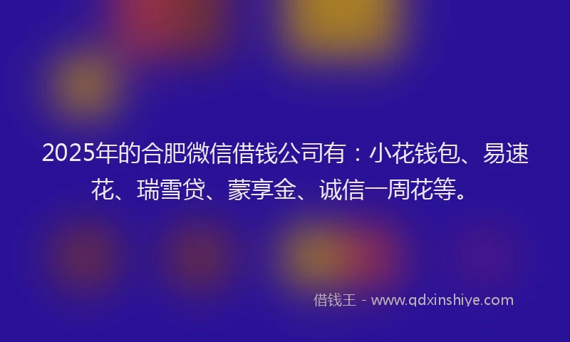 2025年的合肥微信借钱公司有：小花钱包、易速花、瑞雪贷、蒙享金、诚信一周花等。