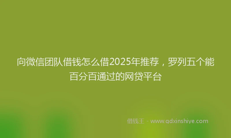 向微信团队借钱怎么借2025年推荐，罗列五个能百分百通过的网贷平台
