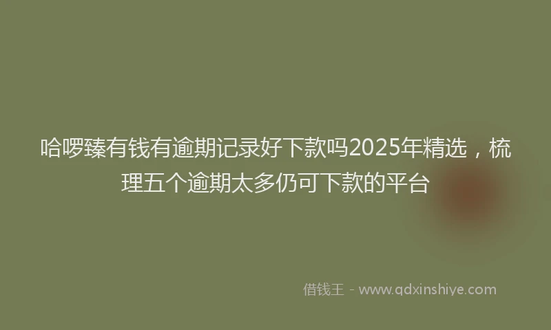 哈啰臻有钱有逾期记录好下款吗2025年精选，梳理五个逾期太多仍可下款的平台