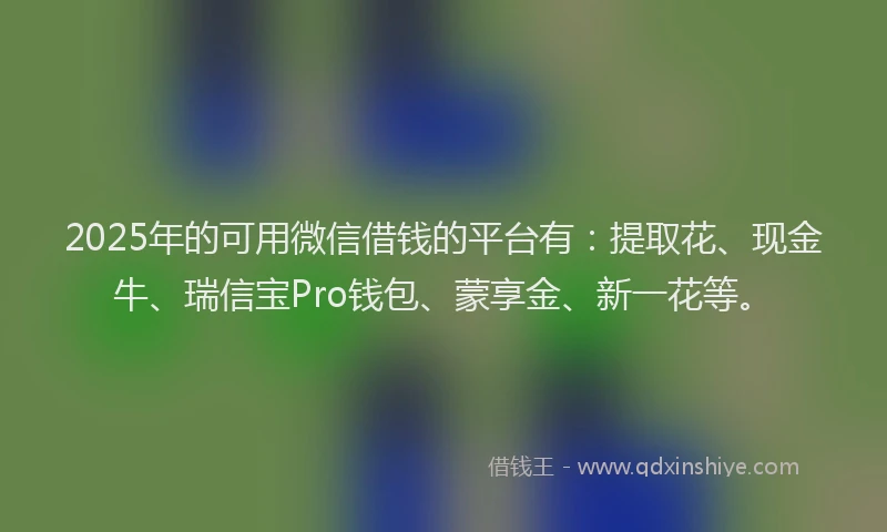 2025年的可用微信借钱的平台有：提取花、现金牛、瑞信宝Pro钱包、蒙享金、新一花等。