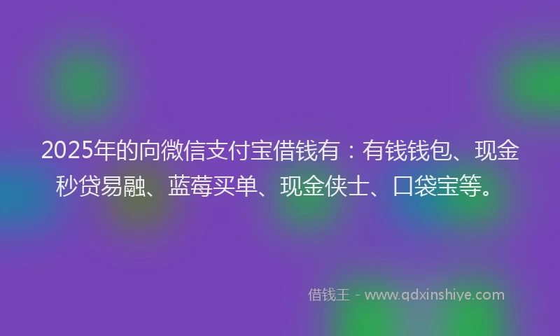 2025年的向微信支付宝借钱有：有钱钱包、现金秒贷易融、蓝莓买单、现金侠士、口袋宝等。