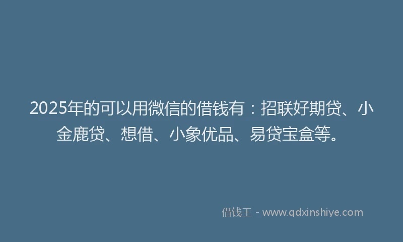 2025年的可以用微信的借钱有：招联好期贷、小金鹿贷、想借、小象优品、易贷宝盒等。