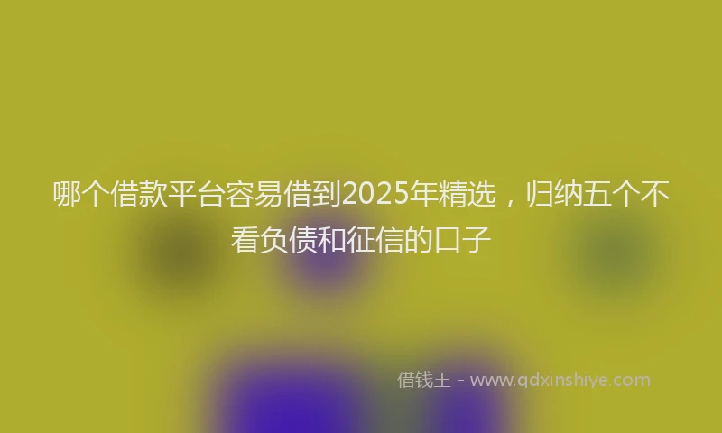 哪个借款平台容易借到2025年精选，归纳五个不看负债和征信的口子