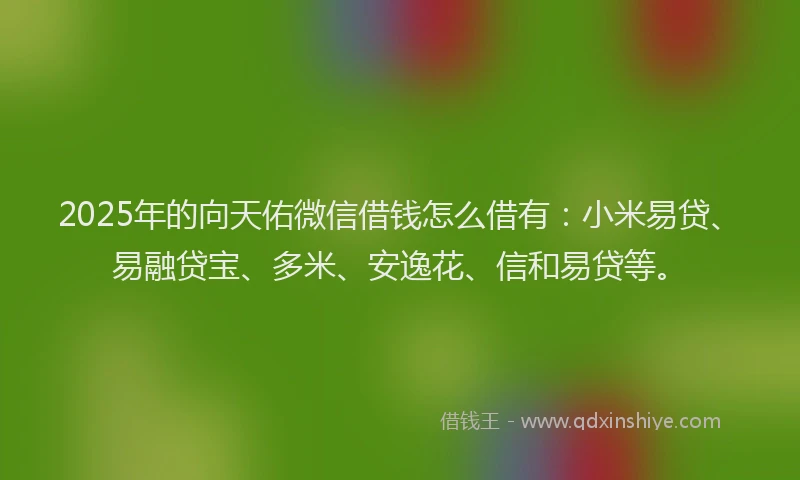 2025年的向天佑微信借钱怎么借有：小米易贷、易融贷宝、多米、安逸花、信和易贷等。
