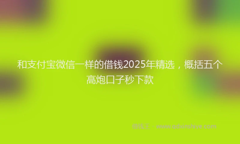 和支付宝微信一样的借钱2025年精选，概括五个高炮口子秒下款