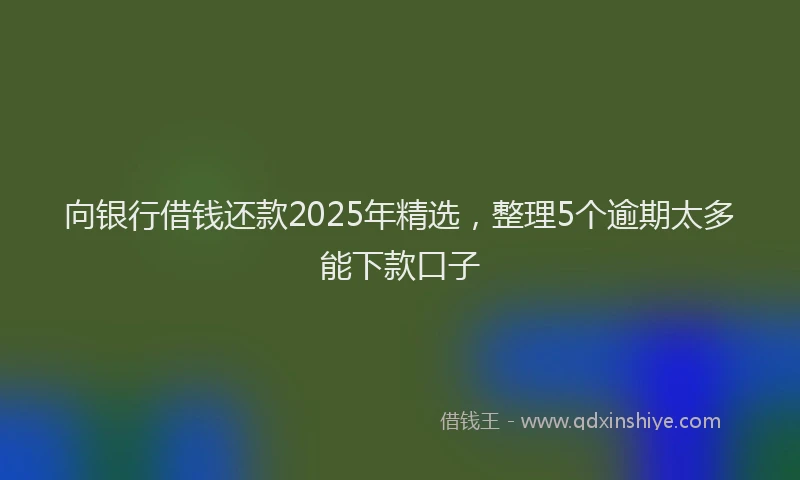 向银行借钱还款2025年精选，整理5个逾期太多能下款口子