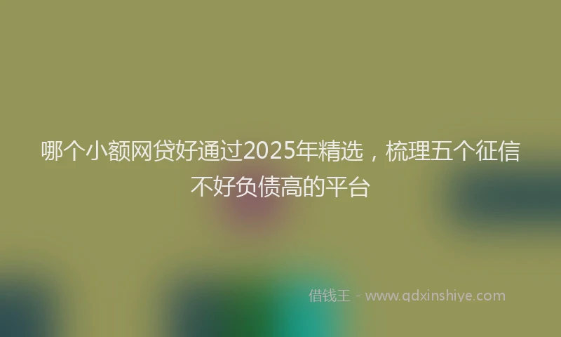 哪个小额网贷好通过2025年精选，梳理五个征信不好负债高的平台