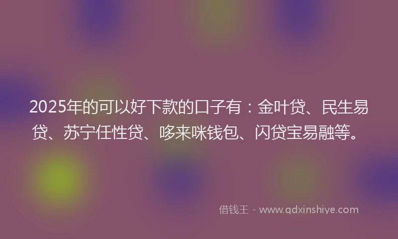 2025年的可以好下款的口子有：金叶贷、民生易贷、苏宁任性贷、哆来咪钱包、闪贷宝易融等。