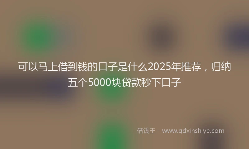 可以马上借到钱的口子是什么2025年推荐，归纳五个5000块贷款秒下口子