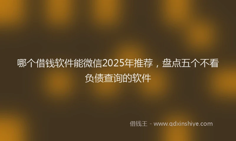 哪个借钱软件能微信2025年推荐，盘点五个不看负债查询的软件