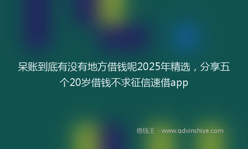 呆账到底有没有地方借钱呢2025年精选，分享五个20岁借钱不求征信速借app