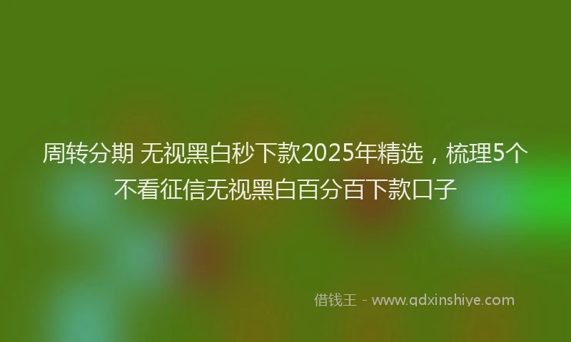 周转分期 无视黑白秒下款2025年精选，梳理5个不看征信无视黑白百分百下款口子