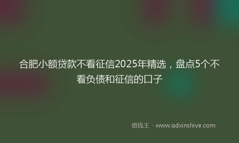 合肥小额贷款不看征信2025年精选，盘点5个不看负债和征信的口子