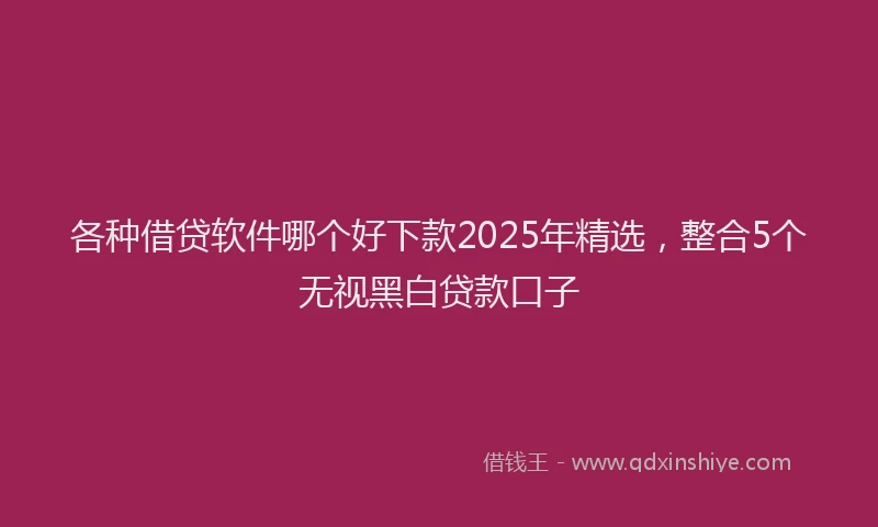 各种借贷软件哪个好下款2025年精选，整合5个无视黑白贷款口子