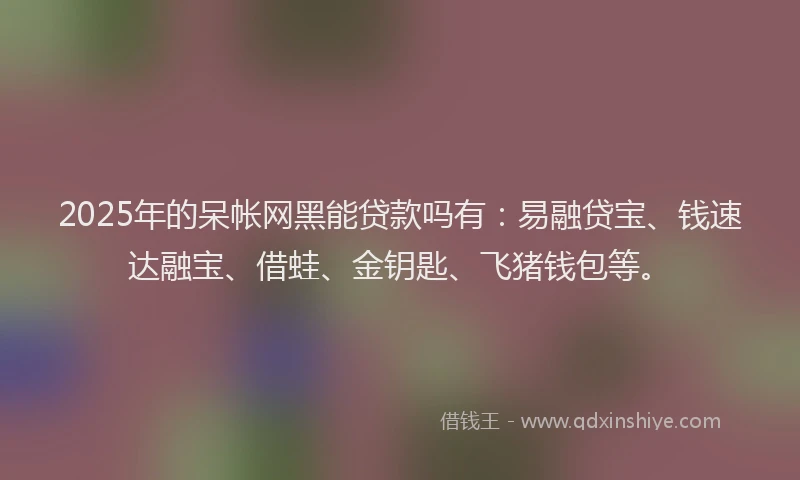 2025年的呆帐网黑能贷款吗有：易融贷宝、钱速达融宝、借蛙、金钥匙、飞猪钱包等。