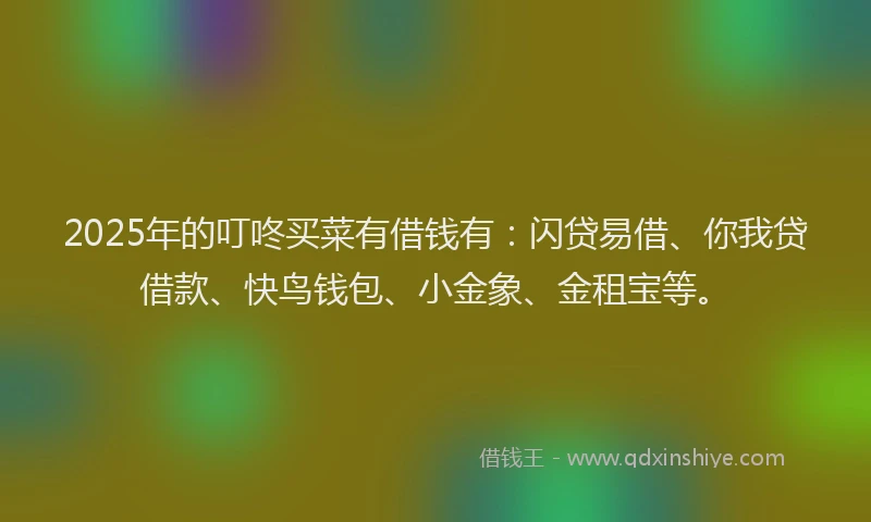 2025年的叮咚买菜有借钱有：闪贷易借、你我贷借款、快鸟钱包、小金象、金租宝等。