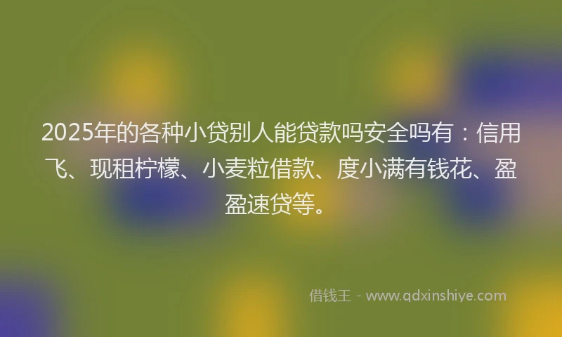 2025年的各种小贷别人能贷款吗安全吗有：信用飞、现租柠檬、小麦粒借款、度小满有钱花、盈盈速贷等。