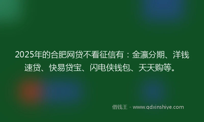 2025年的合肥网贷不看征信有：金瀛分期、洋钱速贷、快易贷宝、闪电侠钱包、天天购等。
