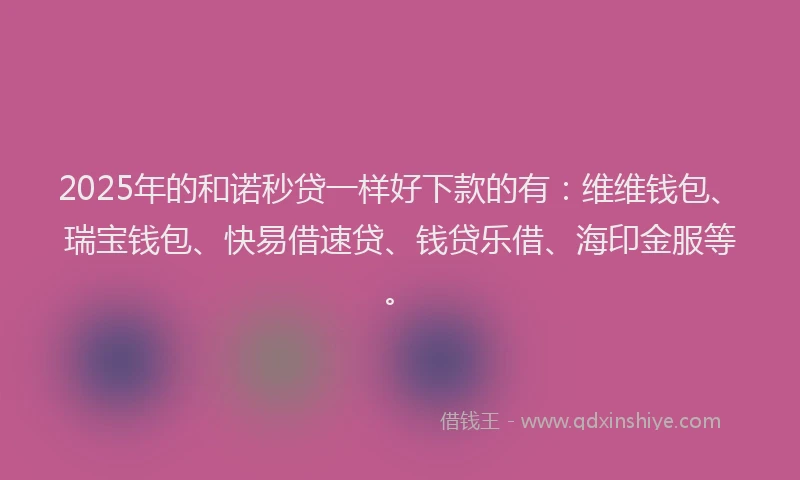 2025年的和诺秒贷一样好下款的有：维维钱包、瑞宝钱包、快易借速贷、钱贷乐借、海印金服等。