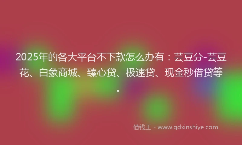 2025年的各大平台不下款怎么办有：芸豆分-芸豆花、白象商城、臻心贷、极速贷、现金秒借贷等。