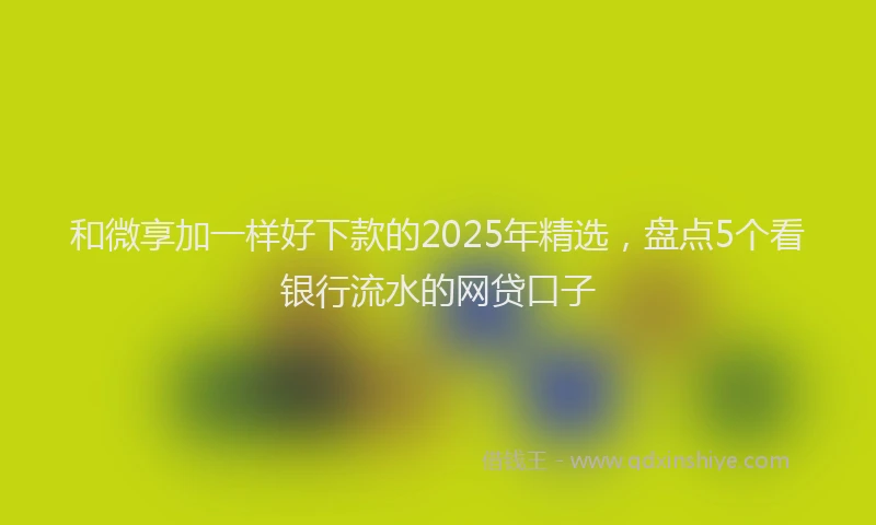 和微享加一样好下款的2025年精选，盘点5个看银行流水的网贷口子