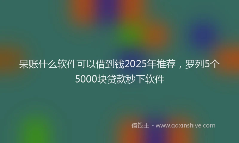 呆账什么软件可以借到钱2025年推荐，罗列5个5000块贷款秒下软件
