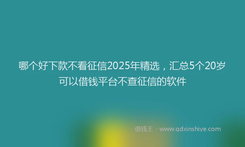 哪个好下款不看征信2025年精选，汇总5个20岁可以借钱平台不查征信的软件