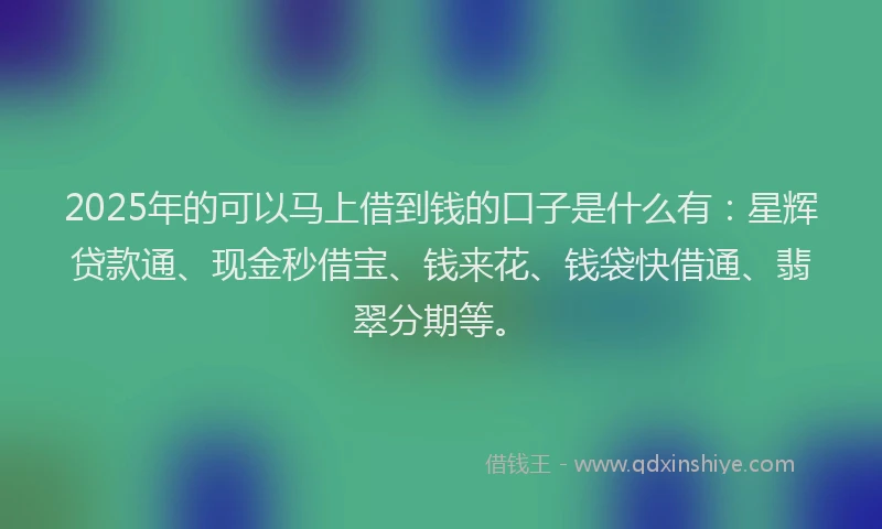2025年的可以马上借到钱的口子是什么有：星辉贷款通、现金秒借宝、钱来花、钱袋快借通、翡翠分期等。