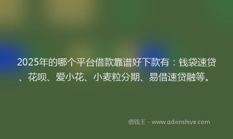 2025年的哪个平台借款靠谱好下款有:钱袋速贷、花呗、爱小花、小麦粒分期、易借速贷融等。