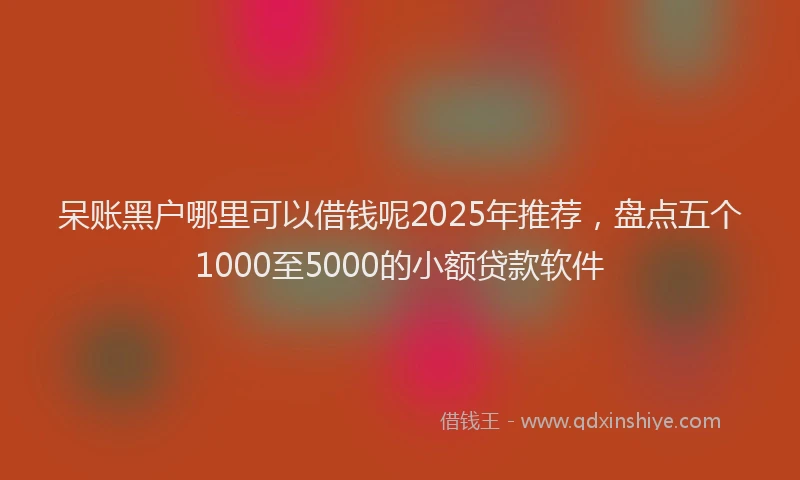 呆账黑户哪里可以借钱呢2025年推荐，盘点五个1000至5000的小额贷款软件