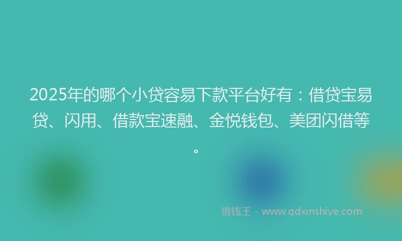 2025年的哪个小贷容易下款平台好有：借贷宝易贷、闪用、借款宝速融、金悦钱包、美团闪借等。