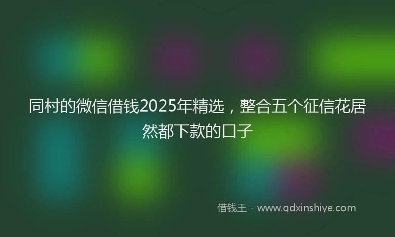 同村的微信借钱2025年精选，整合五个征信花居然都下款的口子