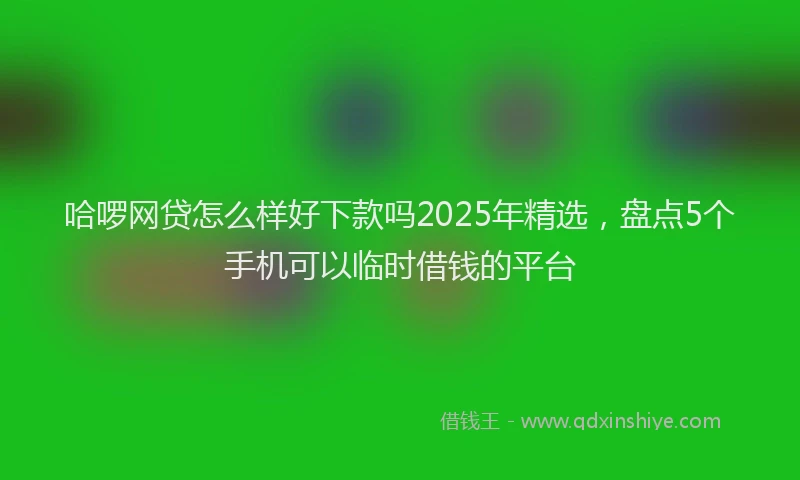 哈啰网贷怎么样好下款吗2025年精选，盘点5个手机可以临时借钱的平台