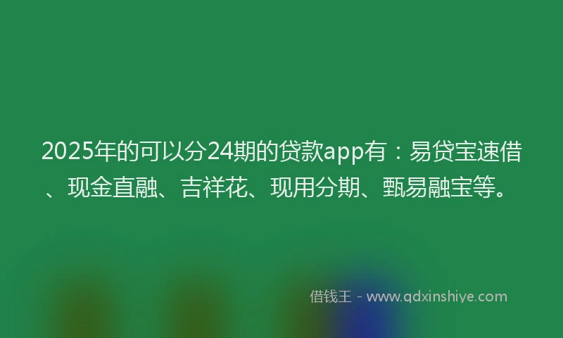 2025年的可以分24期的贷款app有：易贷宝速借、现金直融、吉祥花、现用分期、甄易融宝等。