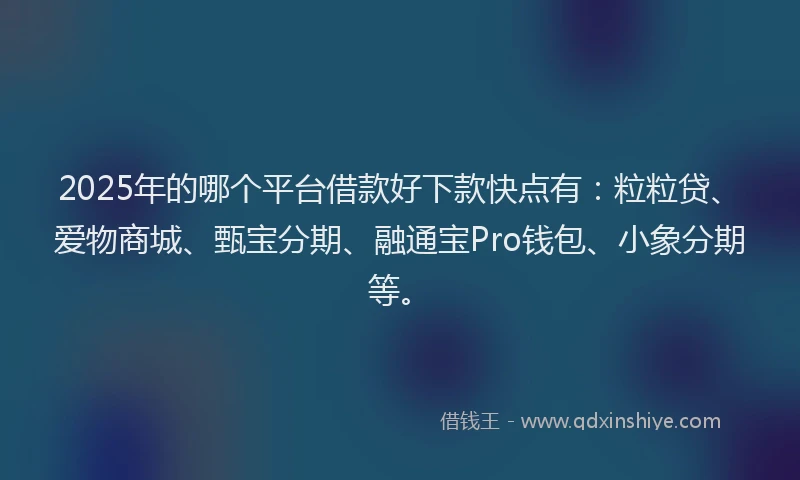 2025年的哪个平台借款好下款快点有：粒粒贷、爱物商城、甄宝分期、融通宝Pro钱包、小象分期等。
