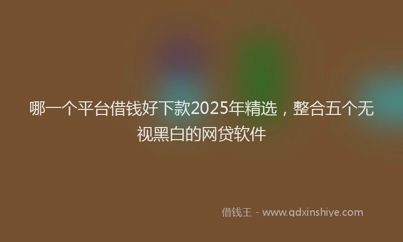 哪一个平台借钱好下款2025年精选，整合五个无视黑白的网贷软件