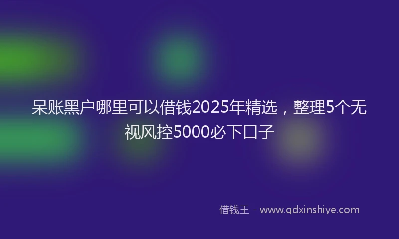呆账黑户哪里可以借钱2025年精选，整理5个无视风控5000必下口子