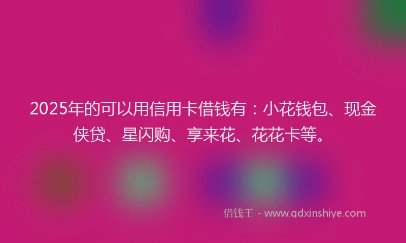 2025年的可以用信用卡借钱有：小花钱包、现金侠贷、星闪购、享来花、花花卡等。