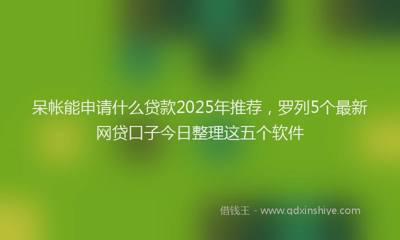 呆帐能申请什么贷款2025年推荐，罗列5个最新网贷口子今日整理这五个软件