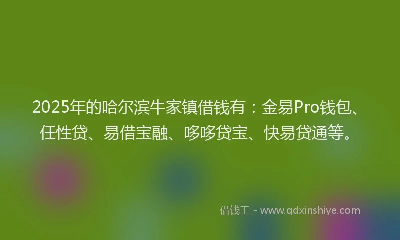 2025年的哈尔滨牛家镇借钱有：金易Pro钱包、任性贷、易借宝融、哆哆贷宝、快易贷通等。