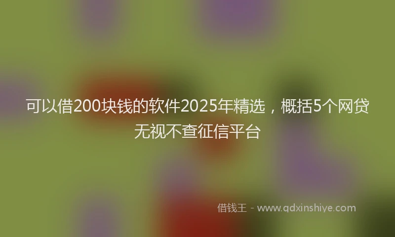 可以借200块钱的软件2025年精选，概括5个网贷无视不查征信平台