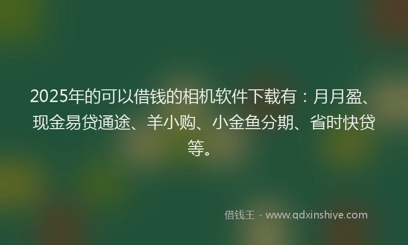 2025年的可以借钱的相机软件下载有：月月盈、现金易贷通途、羊小购、小金鱼分期、省时快贷等。